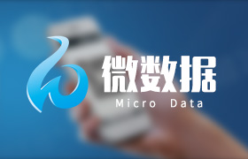天津微数据广告传媒有限公司